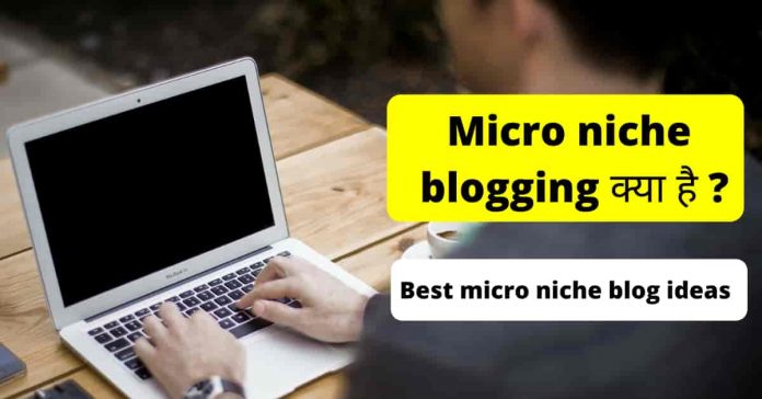 Micro niche blogging kya hai