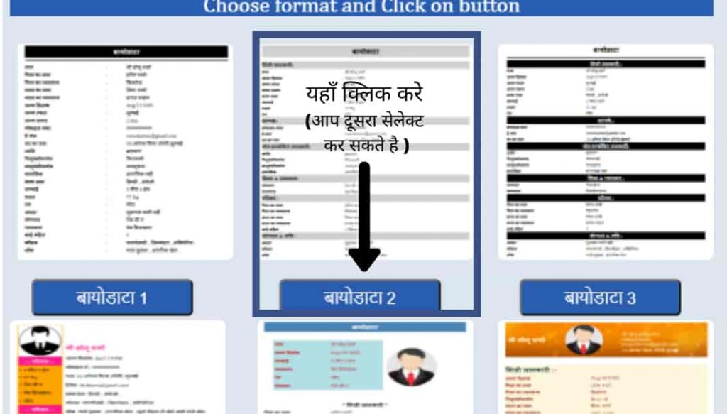 Biodata template