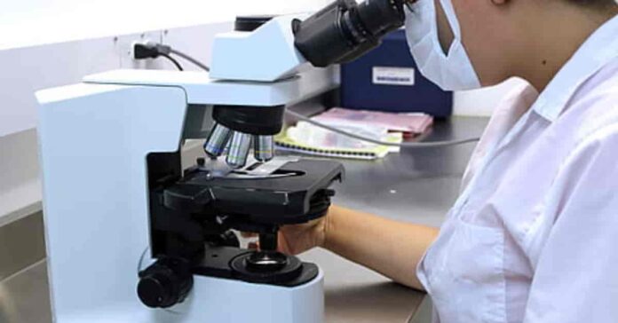 DMLT Course Details In Hindi DMLT Course Details In Hindi