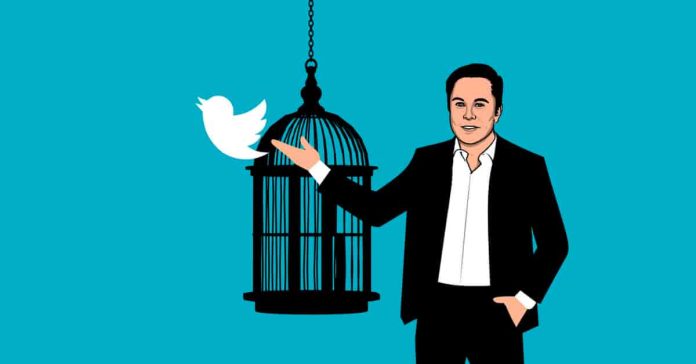 Why Elon Musk Bought Twitter