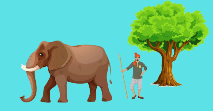 Andhe Ka Hathi Story In Hindi Andhe Ka Hathi Story In Hindi