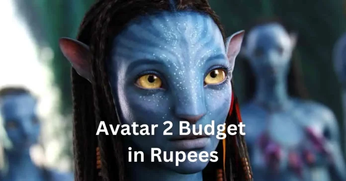 Avatar 2 Budget in Rupees