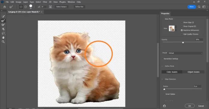 Revolutionizing Image Editing with AI